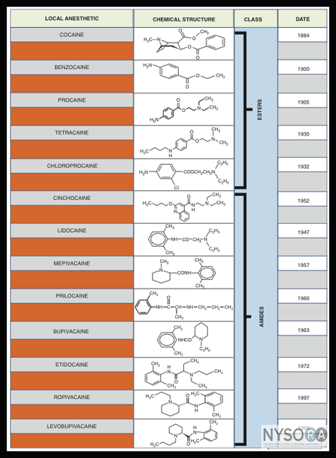 Local Anesthetics Clinical Pharmacology and Rational Selection