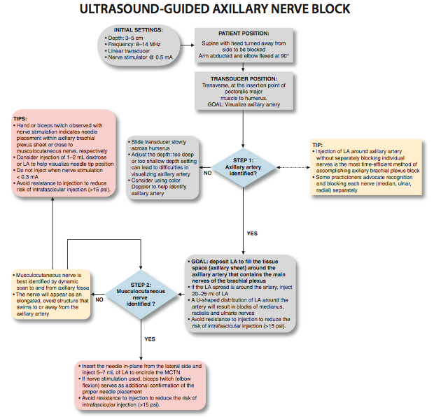 Ultrasound-Guided Axillary Brachial Plexus Block - NYSORA The New York ...