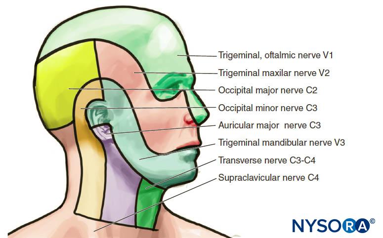 Ultrasound-Guided Cervical Plexus Block - NYSORA