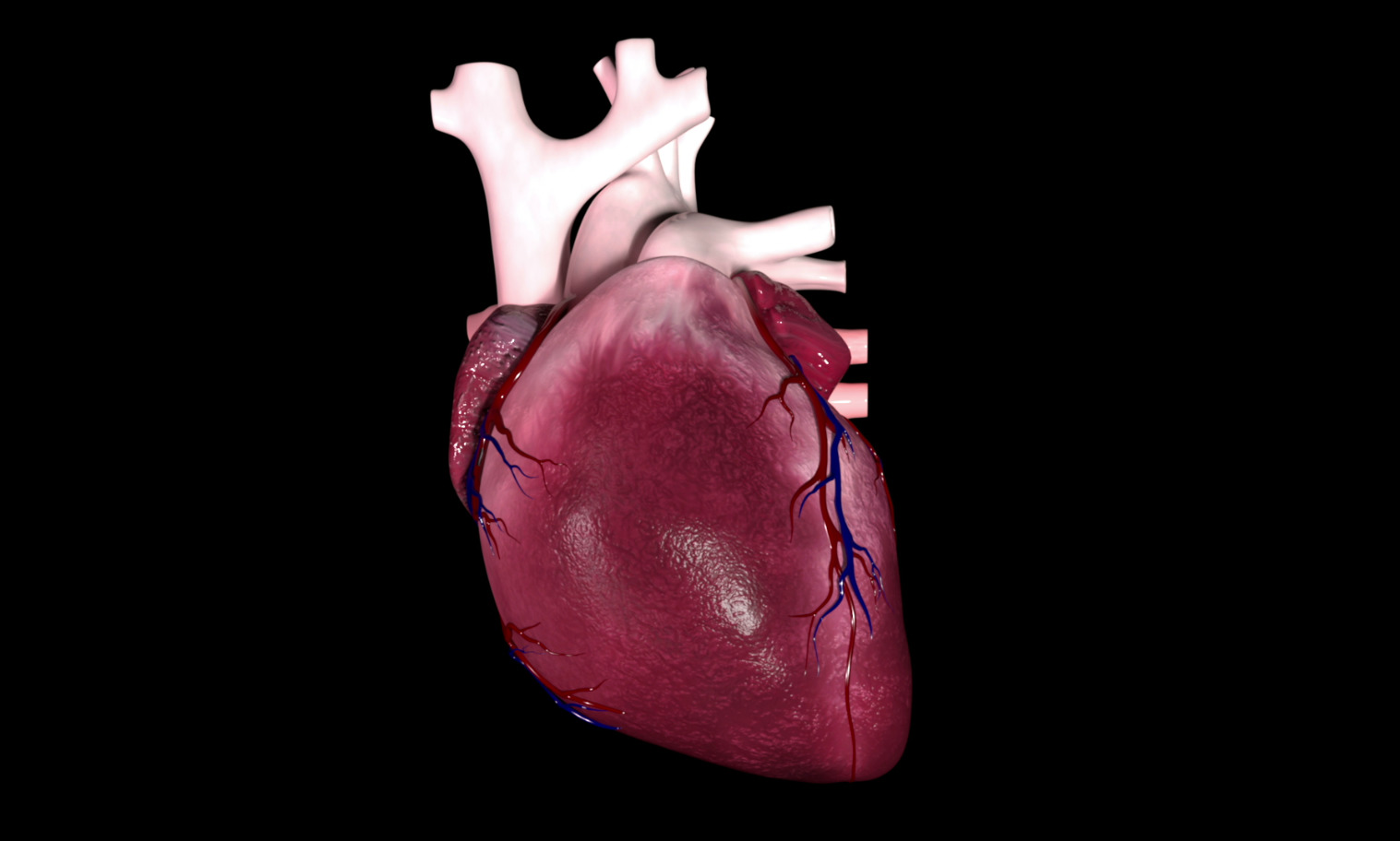 Cardiomyopathies