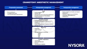 craniotomy, electrocardiogram, blood count, electrolyte, ICP, intracranial pressure, CPP, cerebral perfusion pressure, sedatives, airway, sympathetic, propofol, remifentanil, sevoflurane, paralysis, laryngoscopy, arterial line, urinary catheter, ECG neurophysiological monitoring, SSEP, MEP, EMG, EEG, hemorrhage, venous air embolism, seizure, hemodynamic instability, emergence, analgesia, NSAID, antiemesis, dexamethasone, ondansetron