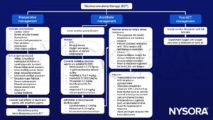 Electroconvulsive therapy, methohexital, succinylcholine, oxygen, assisted ventilation, neuromuscular blocking agent, benzodiazepines