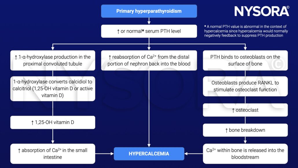 Hyperparathyroidism - NYSORA