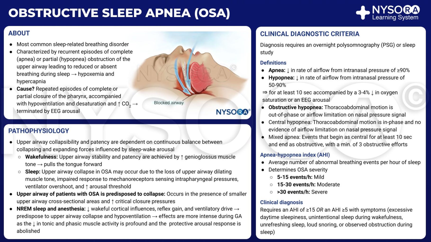 Obstructive Sleep Apnea Osa Nysora