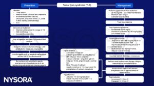 Tumor lysis syndrome (TLS), urine output, dexamethasone, hyperkalemia, fluid hydration, loop diuretics, hyperphsphatemia, aluminium hydroxide, hyperuricemia, allopurinol, rasburicase, renal replacement therapy, dialysis, hypocalcemia seizures