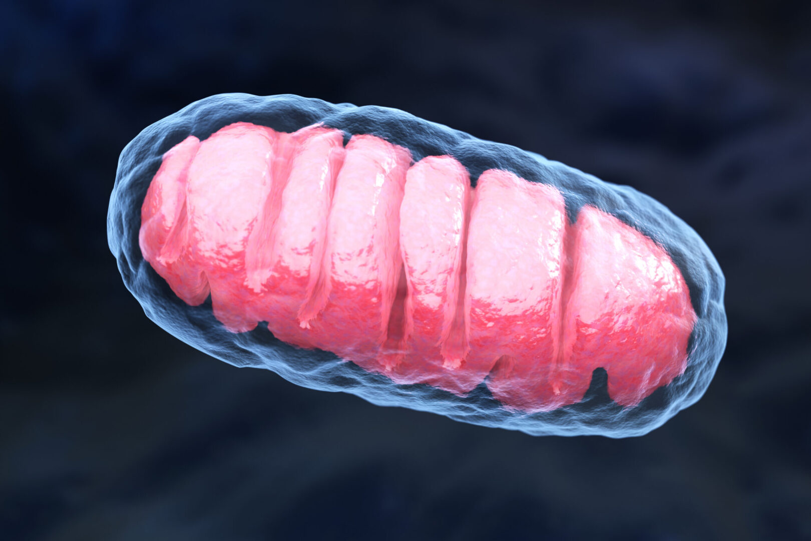 Mitochondrial disease