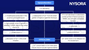 Hypoparathyroidism - NYSORA