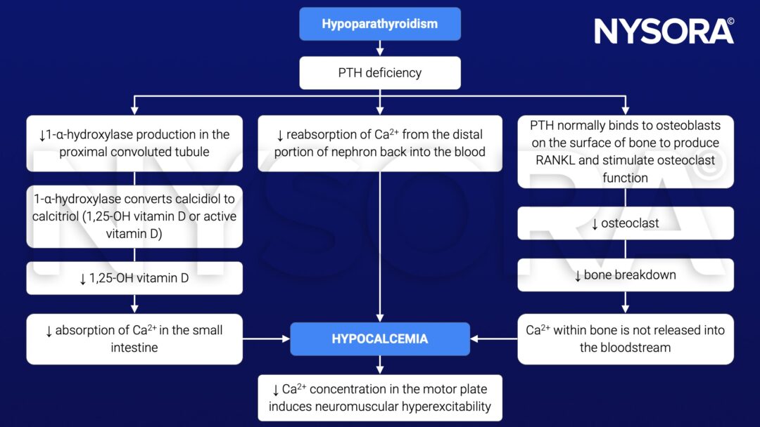 Hypoparathyroidism - Nysora