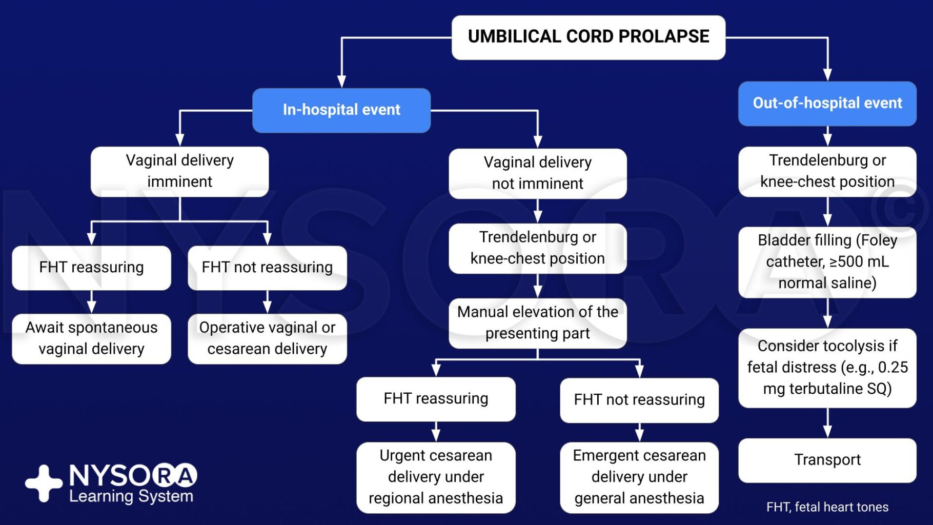 Umbilical Cord Prolapse NYSORA   Umbilical Cord Prolapse 1820x1024 