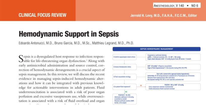 Hemodynamic support in sepsis