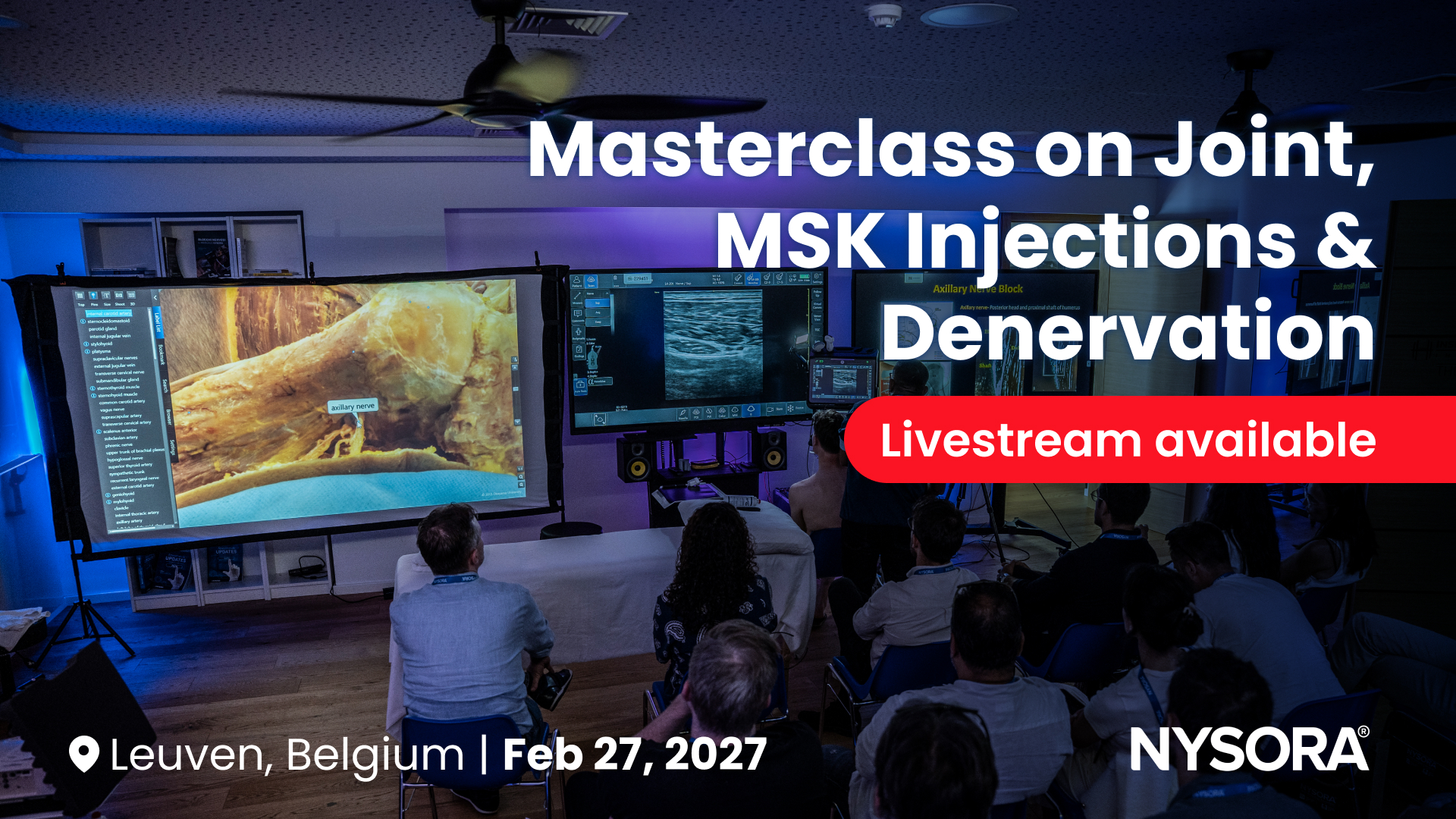 Masterclass: Ultrasound-Guided Joint Interventions  & Denervation